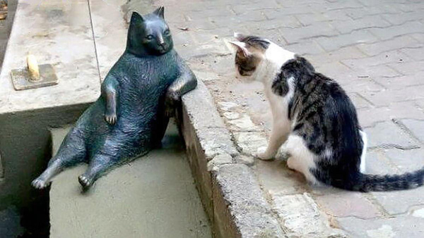 Dinamismo dei miei stivali, meglio essere statici! AKA 6 anni di Gatto
