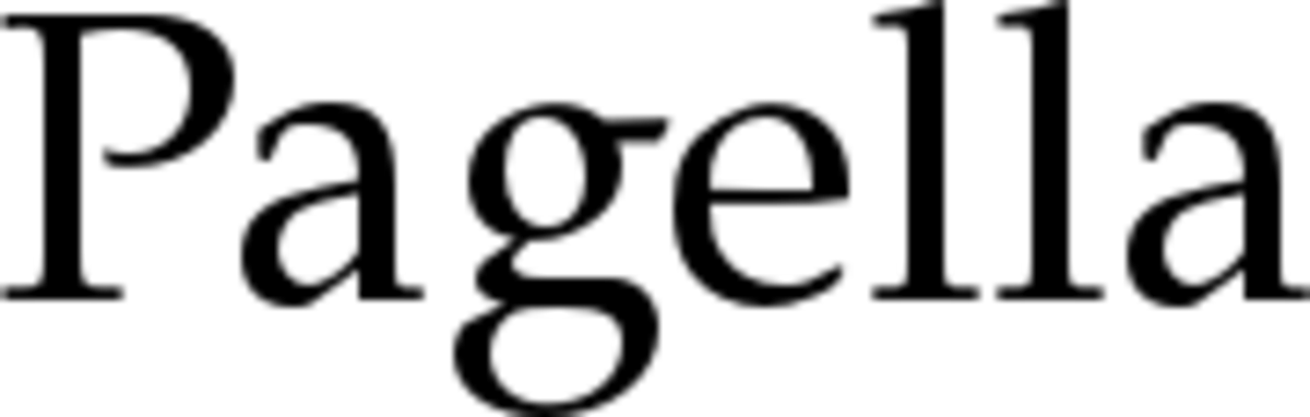 pagella tex gyre