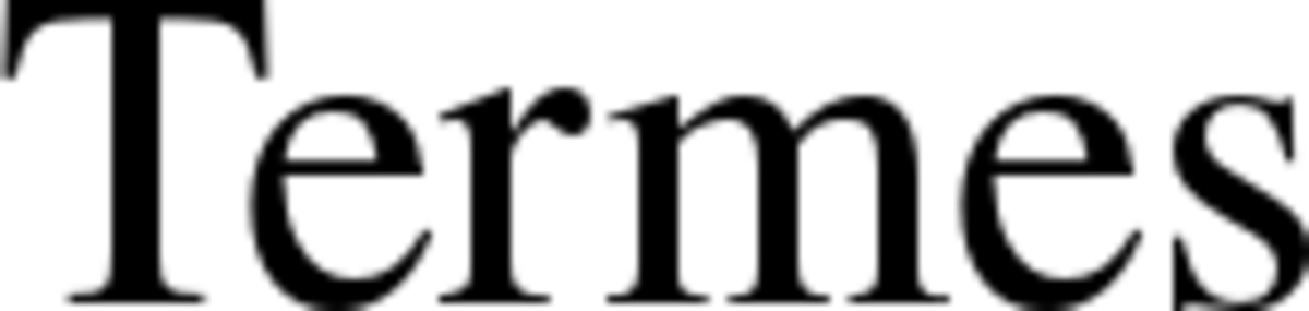 termes tex gyre